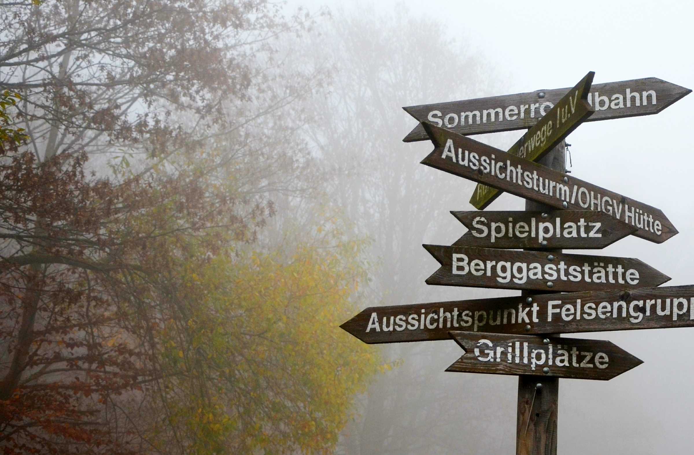 Signposts in the mist