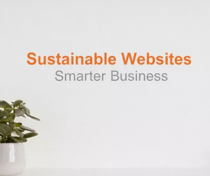 Pot plant with green plant in it in the background the words read sustainable websites smarter business 