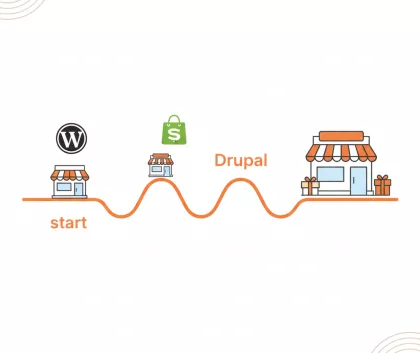 workflow of a business journey from start to finish when they could use  wordpress shopify or drupal 
