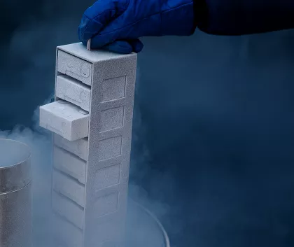 Bcyro low temperature opperations