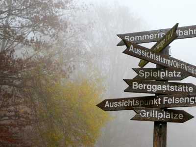 Signposts in the mist